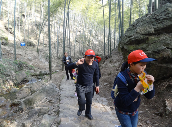 1729738819199710.jpg z2.jpg